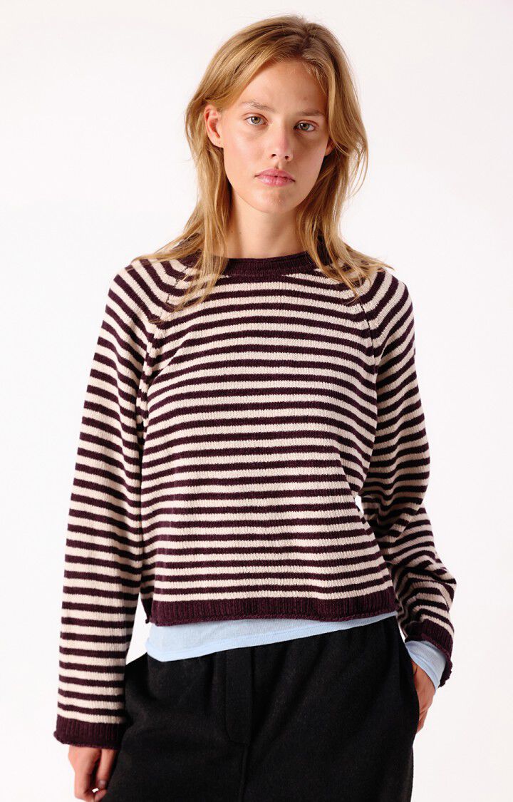 Pull American Vintage EKE18A