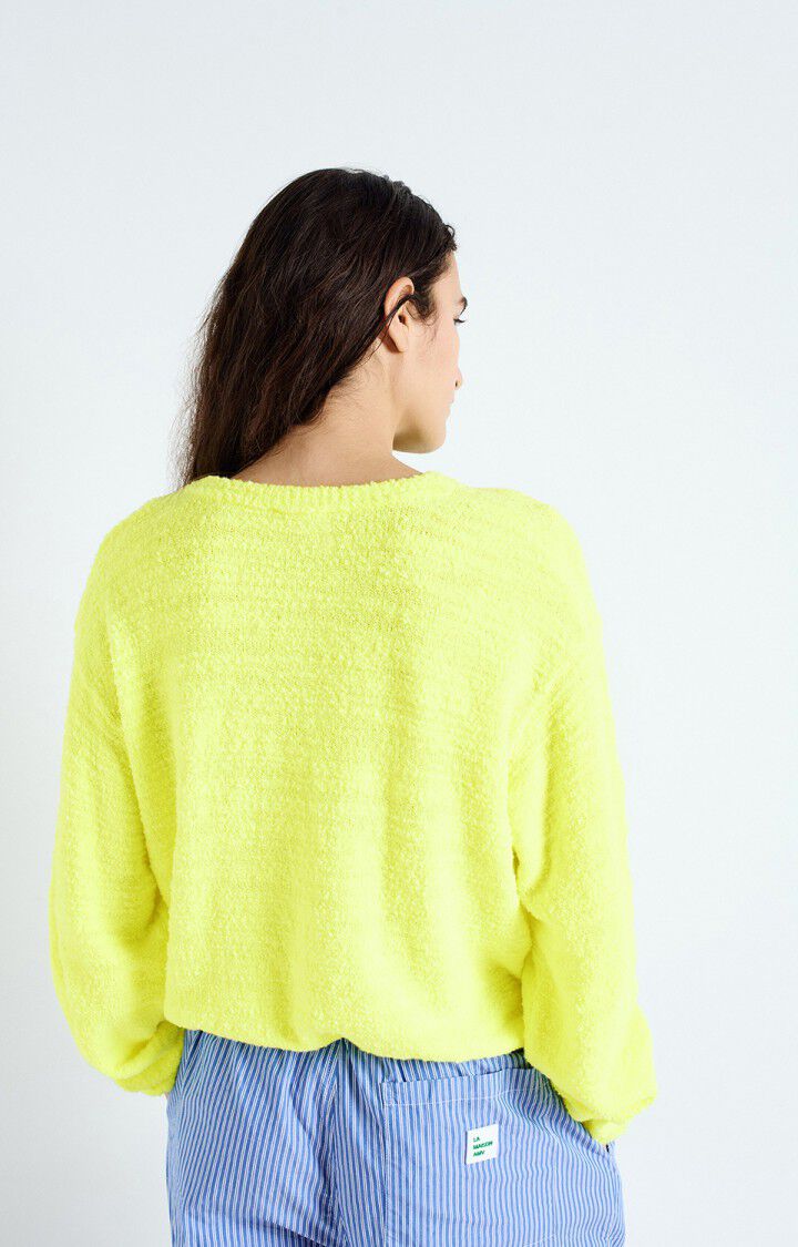 Pull American Vintage LIG18A