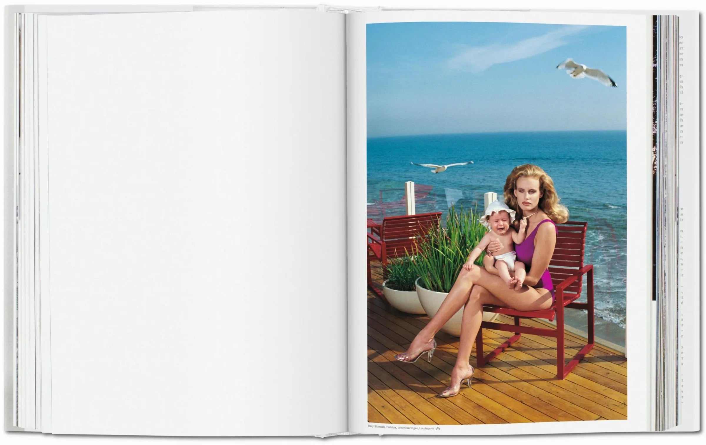 Boek Helmut Newton Baby SUMO XXL