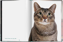 Afbeelding in Gallery-weergave laden, Boek Cats Photographs