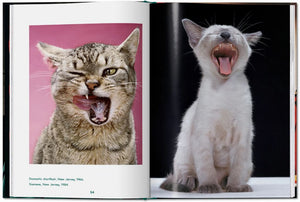 Boek Cats Photographs