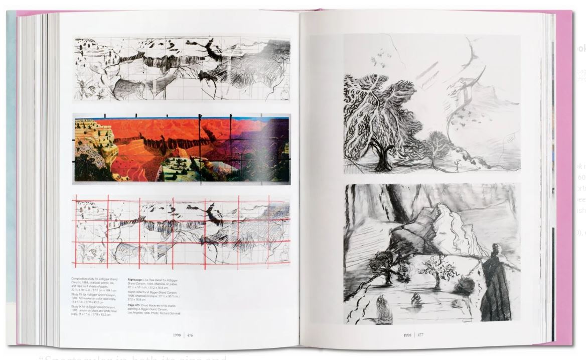 Boek David Hockney Sumo A Bigger Book
