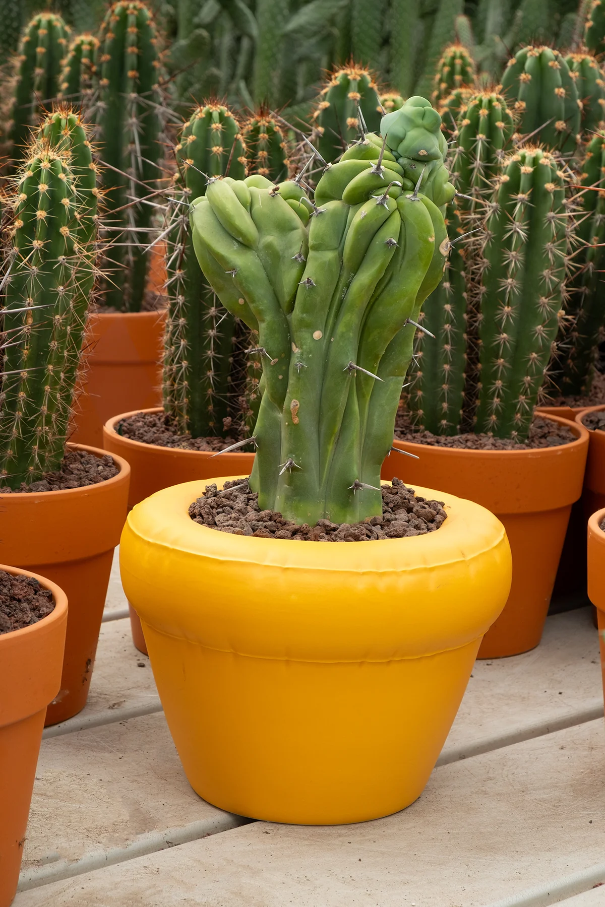 Bloempot Blow Up Planter Pierre Yolk Yellow