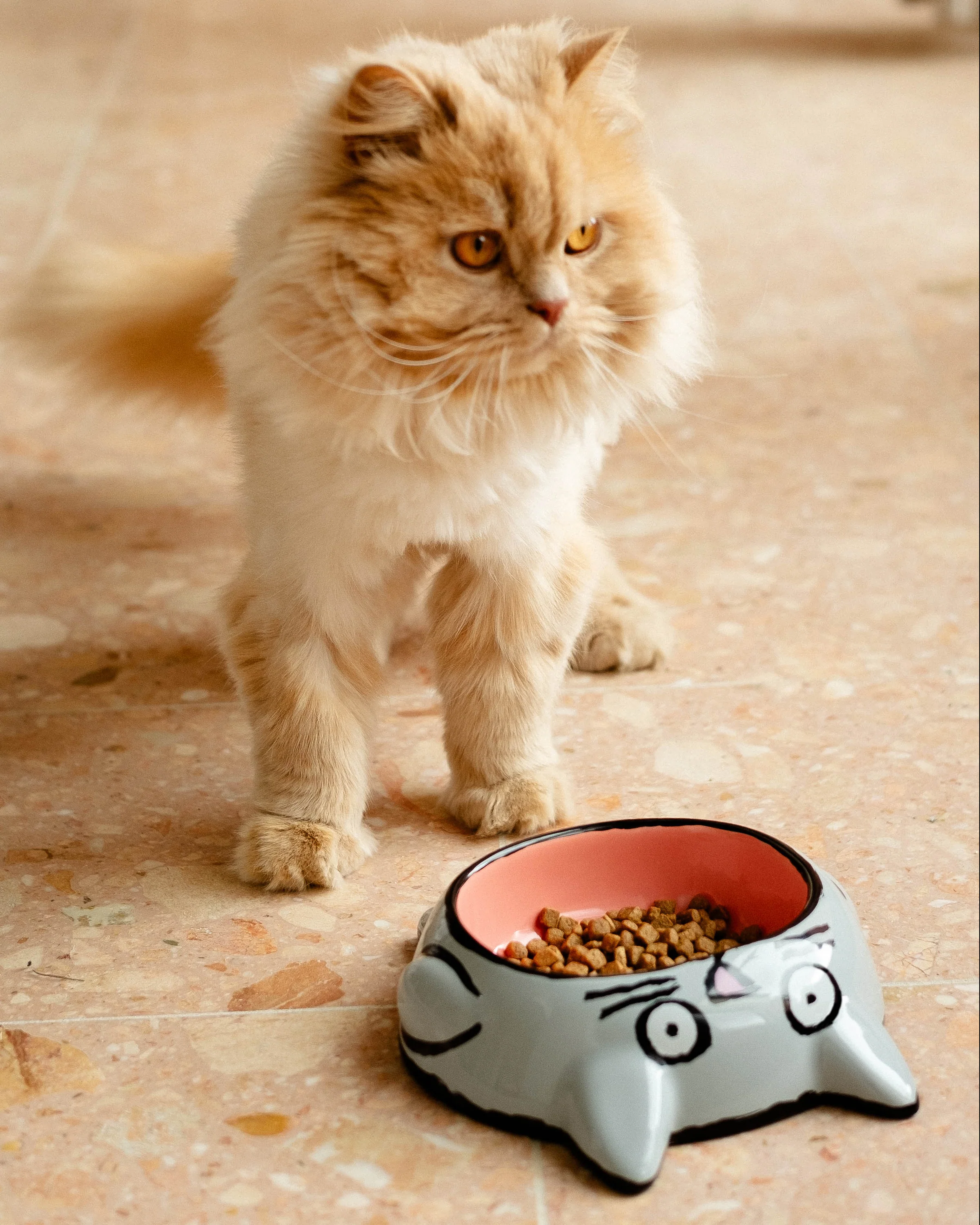 Kom Jean Jullien Cat Bowl