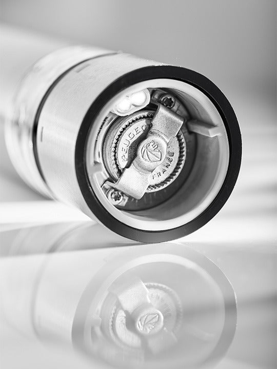 Zoutmolen Peugeot Elis Sense Electric Inox