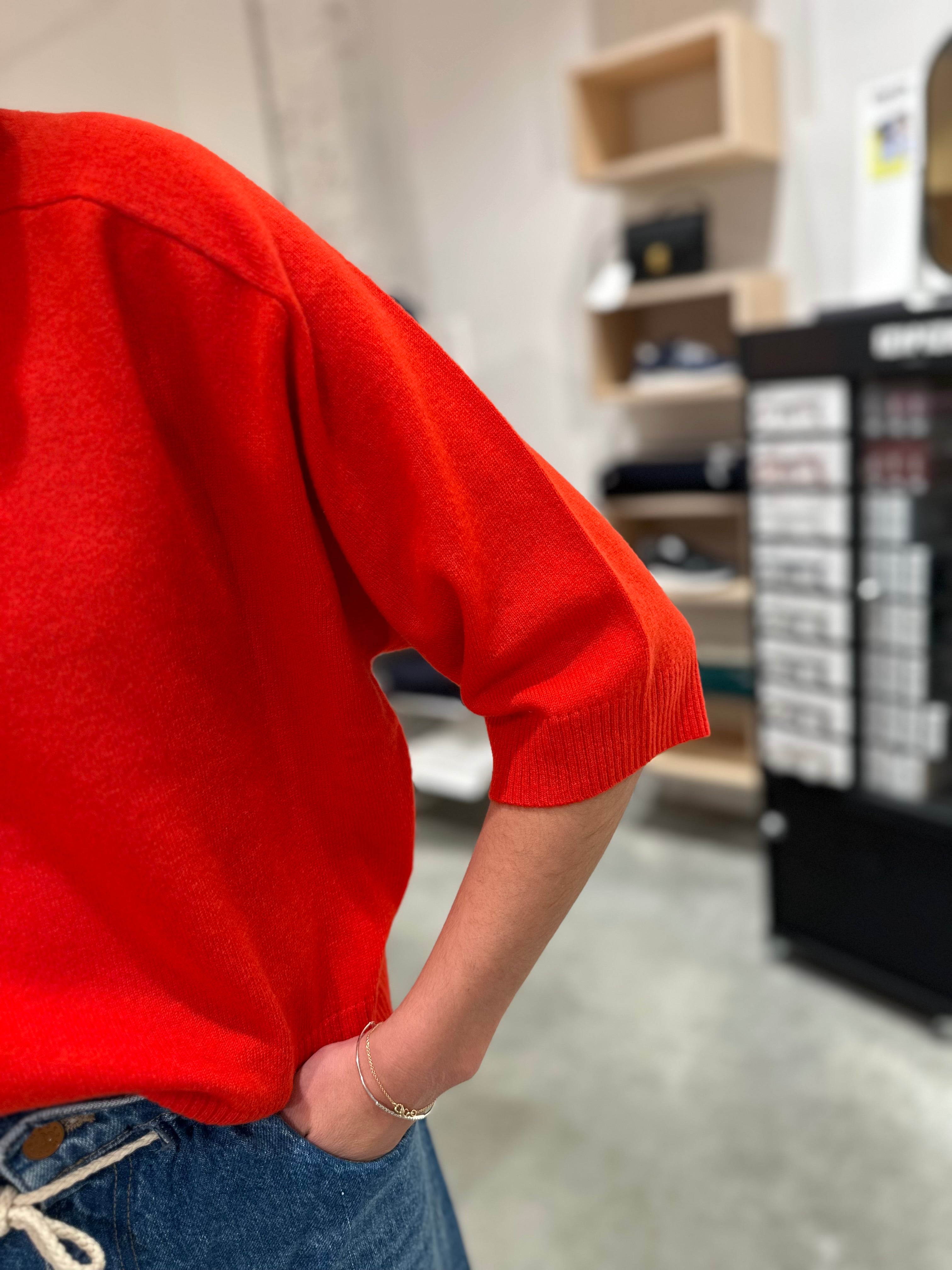 Pull Rae Antwerp Ivy (meerdere kleuren)