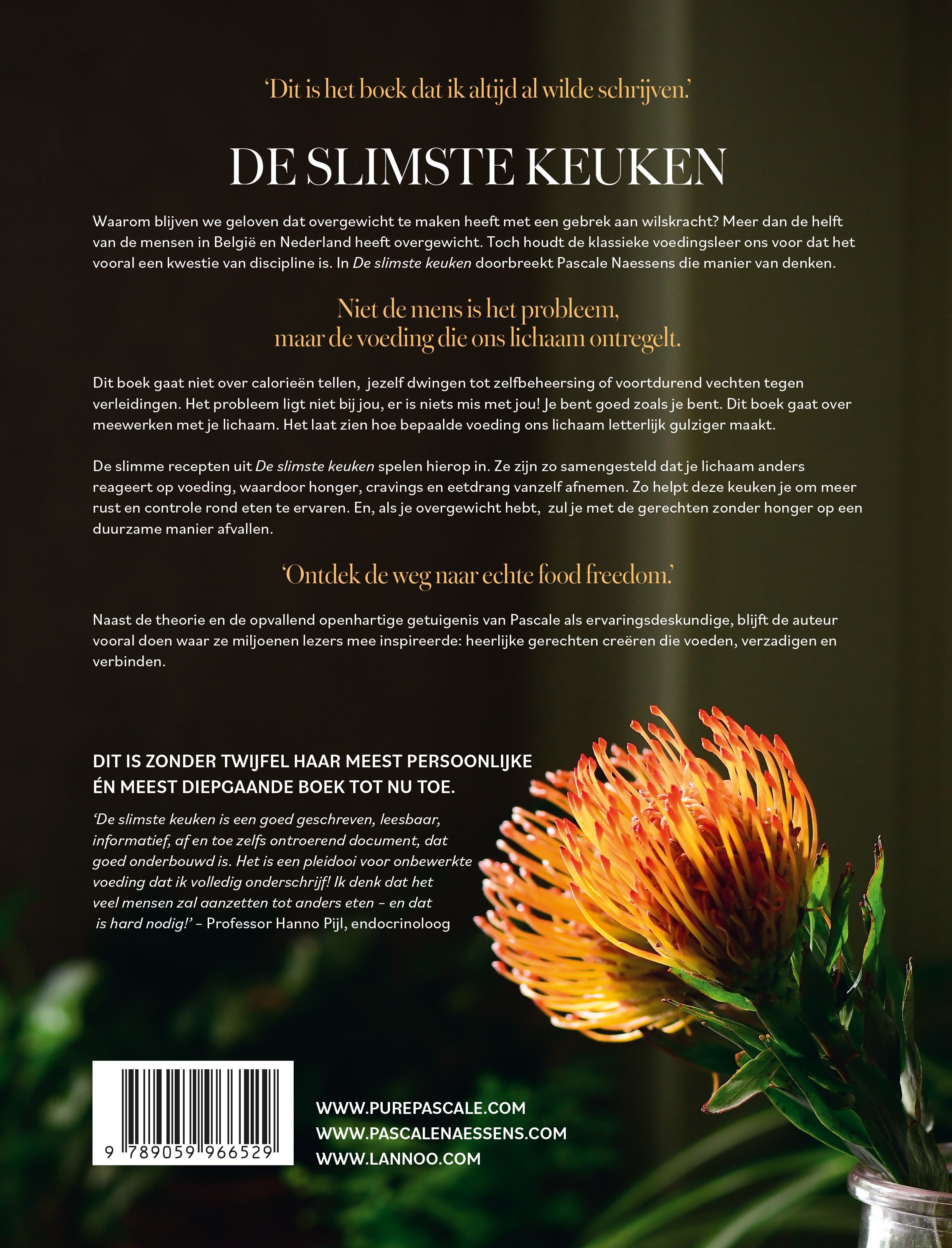 Boek De Slimste Keuken van Pascale Naessens