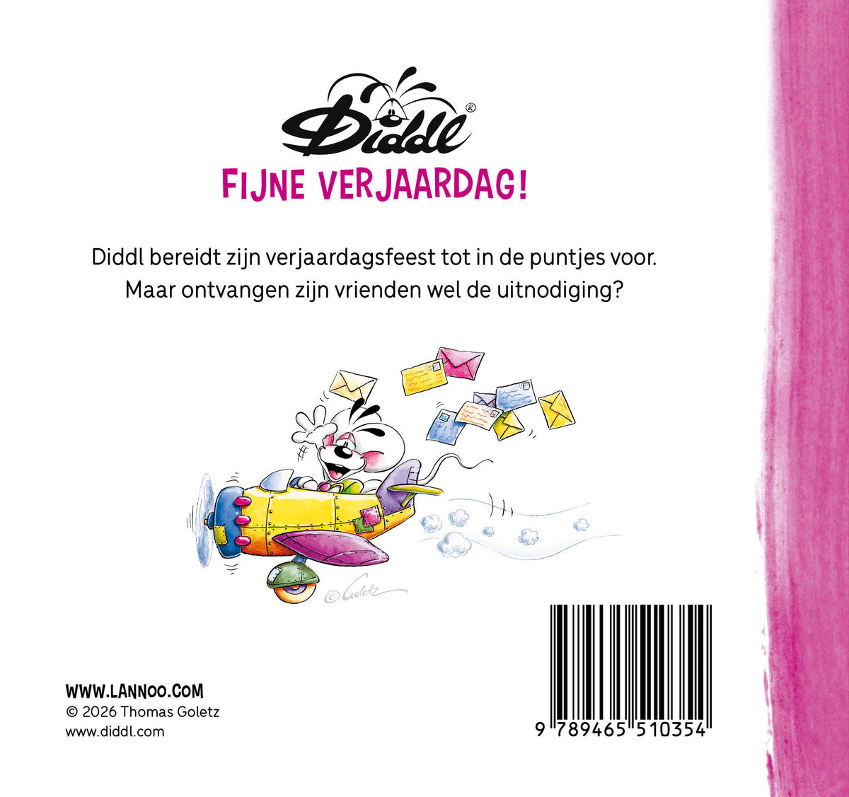 Boek Diddl Fijne Verjaardag!