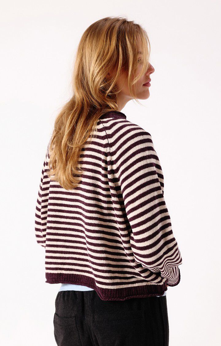Pull American Vintage EKE18A