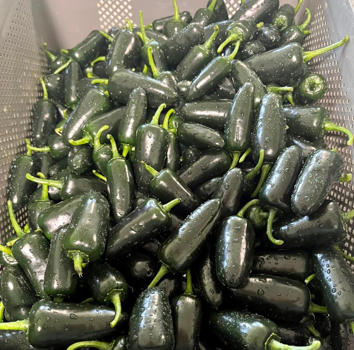 Madmax Jalapeños 245 ML