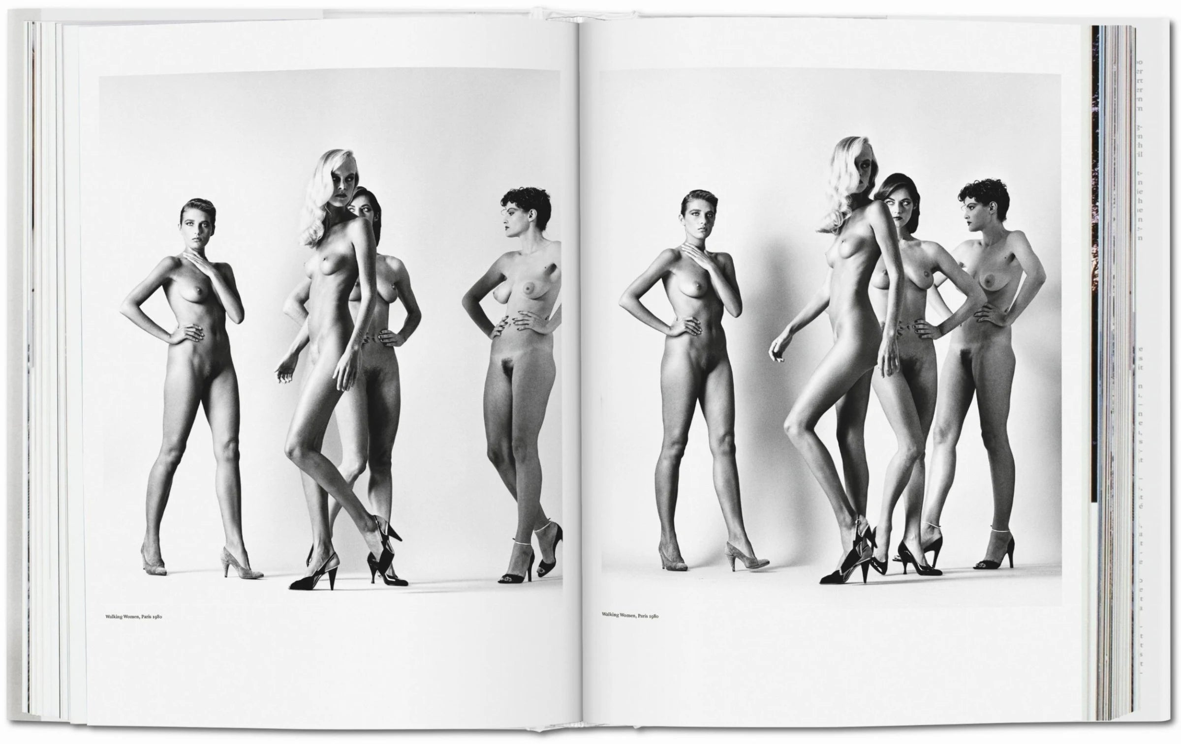 Boek Helmut Newton Baby SUMO XXL