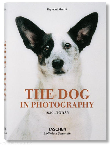 Boek The Dog in Photography
