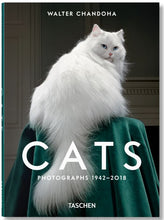 Afbeelding in Gallery-weergave laden, Boek Cats Photographs