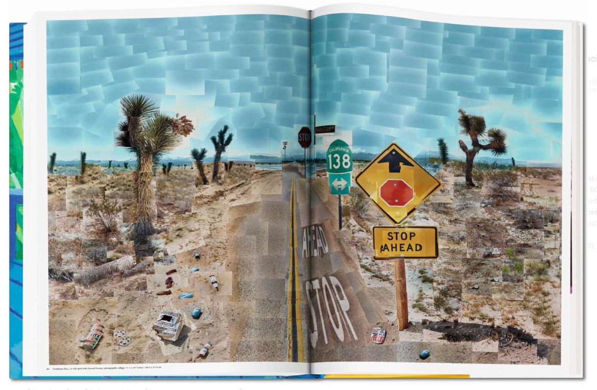 Boek David Hockney Sumo A Bigger Book