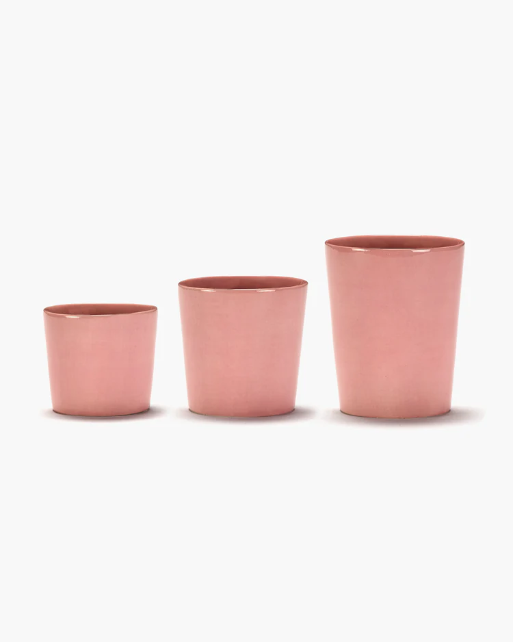 <transcy>Tea Cup Feast 33 Cl Delicious Pink</transcy>