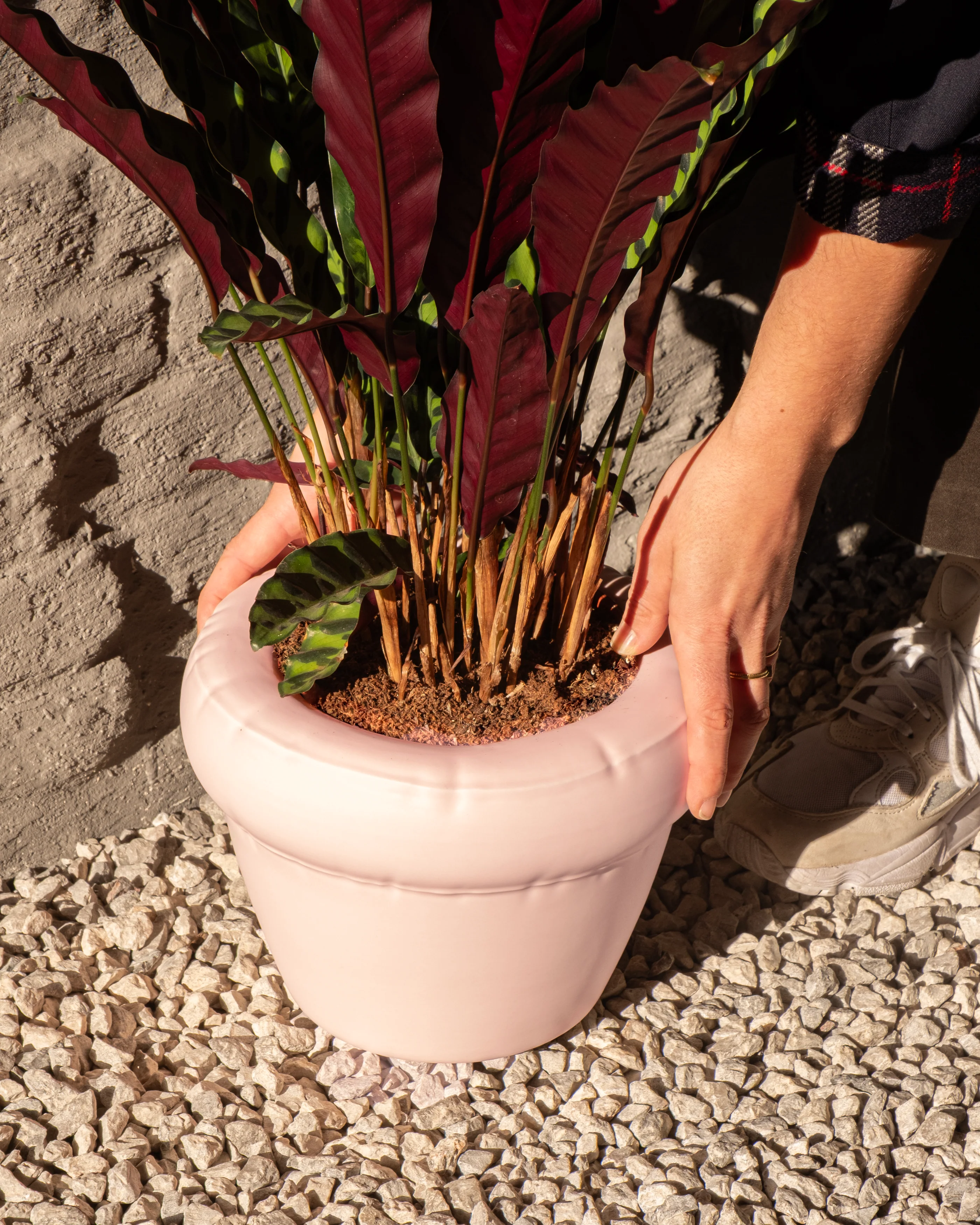 Bloempot Blow Up Planter Pierre Bubblegum Pink