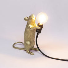 Afbeelding in Gallery-weergave laden, Lamp Seletti Mouse Standing Gold