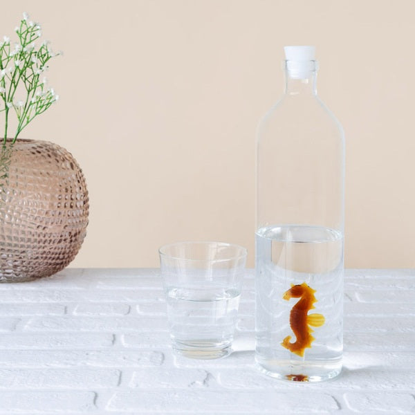 <transcy>Bottle Carafe Seahorse 1.2l</transcy>