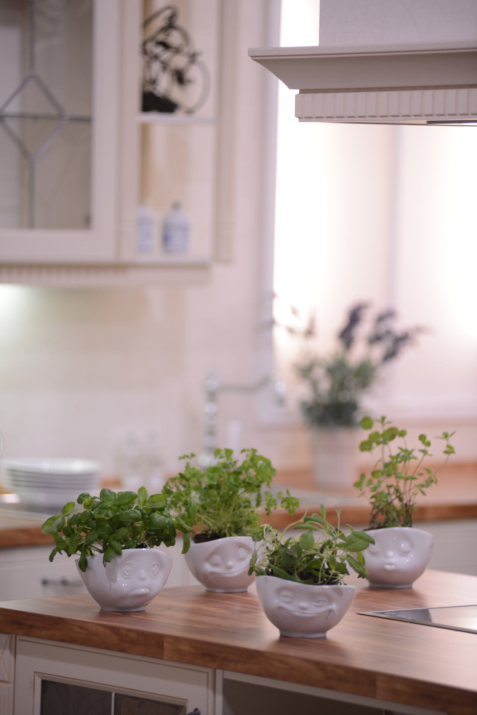 <transcy>Bowl Bowl Happy 500 ml</transcy>