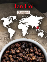 Afbeelding in Gallery-weergave laden, Peper Peugeot Black Pepper Tan Hoi 140g
