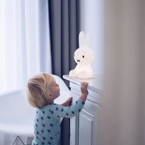 Lamp MrMaria Nijntje  30cm