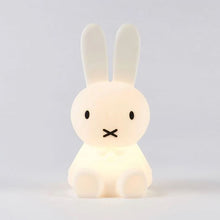 Afbeelding in Gallery-weergave laden, Lamp MrMaria Nijntje 15cm