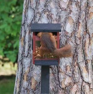Huisje Eekhoorn Squirrel Feeder Red