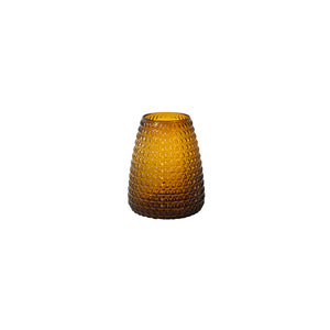 Vaas XLboom Dim Scale Medium Amber
